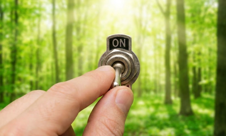 春の森を背景に、古いスイッチを「ON」に切り替える手の写真。冬の停滞した体から、山菜の苦味で代謝のスイッチが入る瞬間を比喩的に表現。